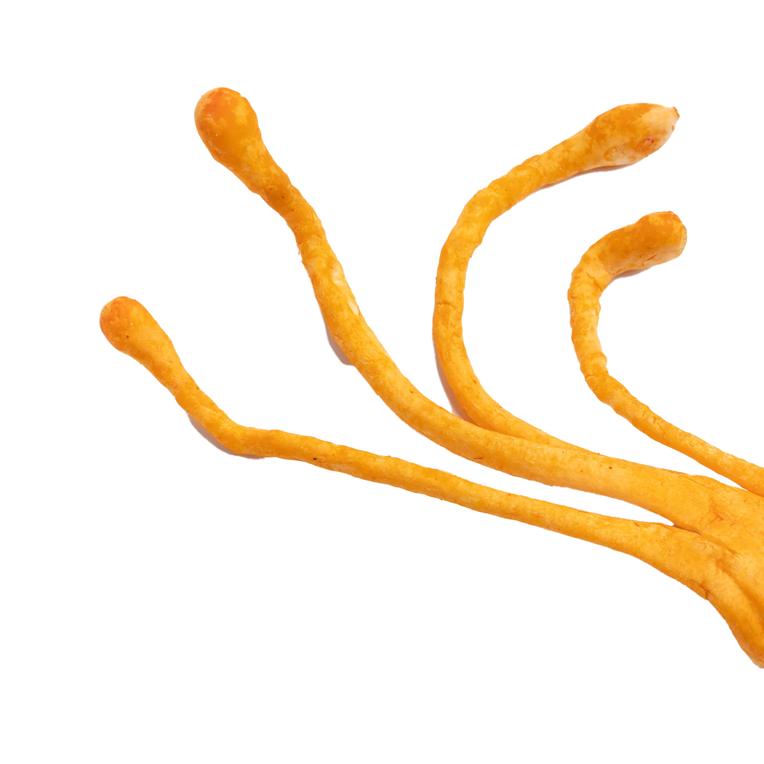 Cordyceps Mushroom Boost