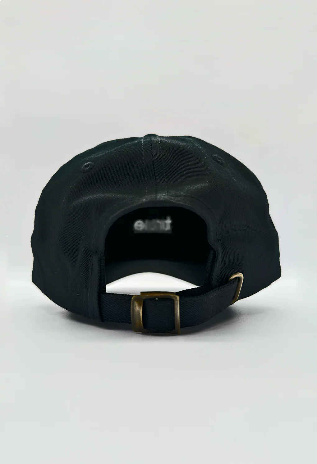 True Nutrition Dad Hat - Image 4