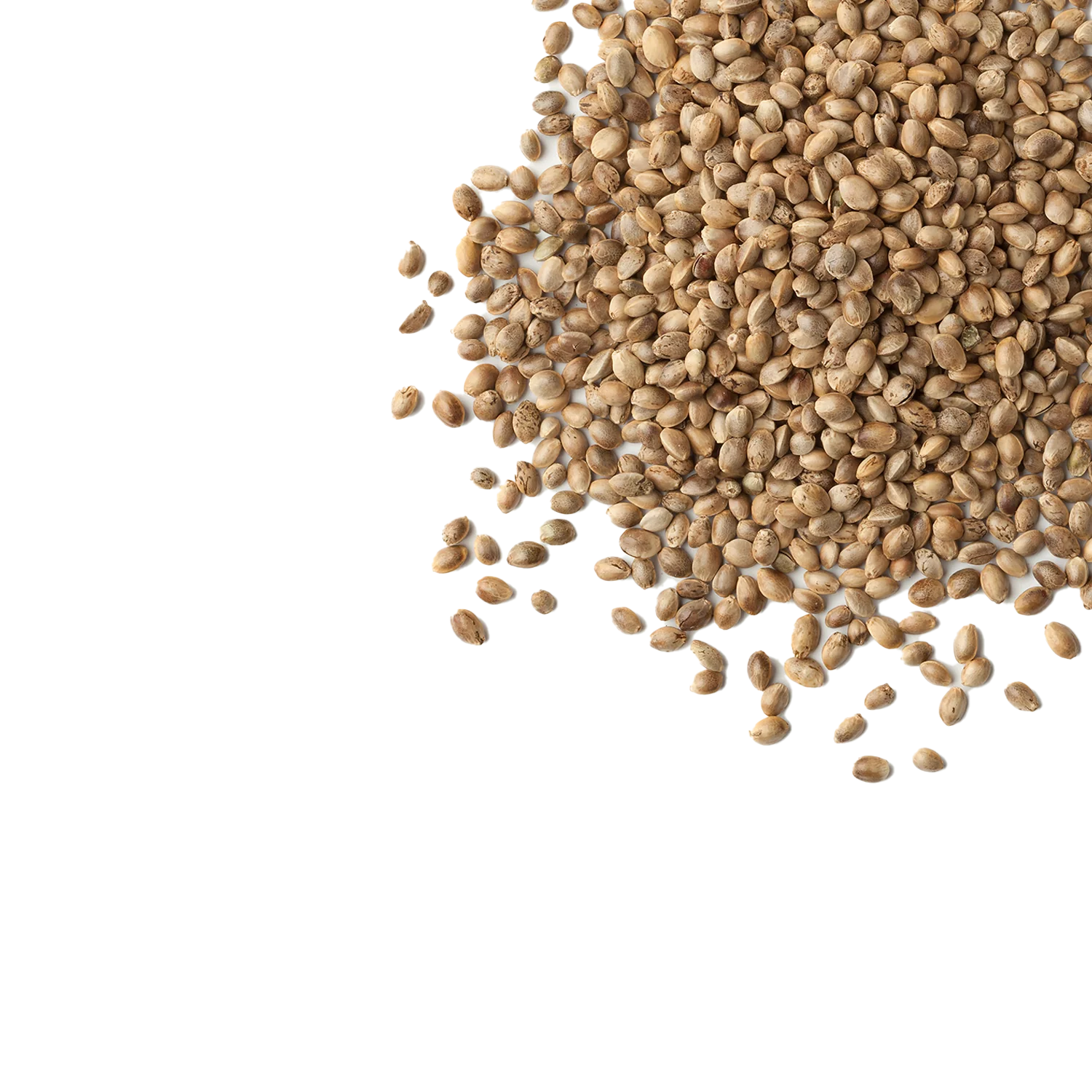 Hemp Boost