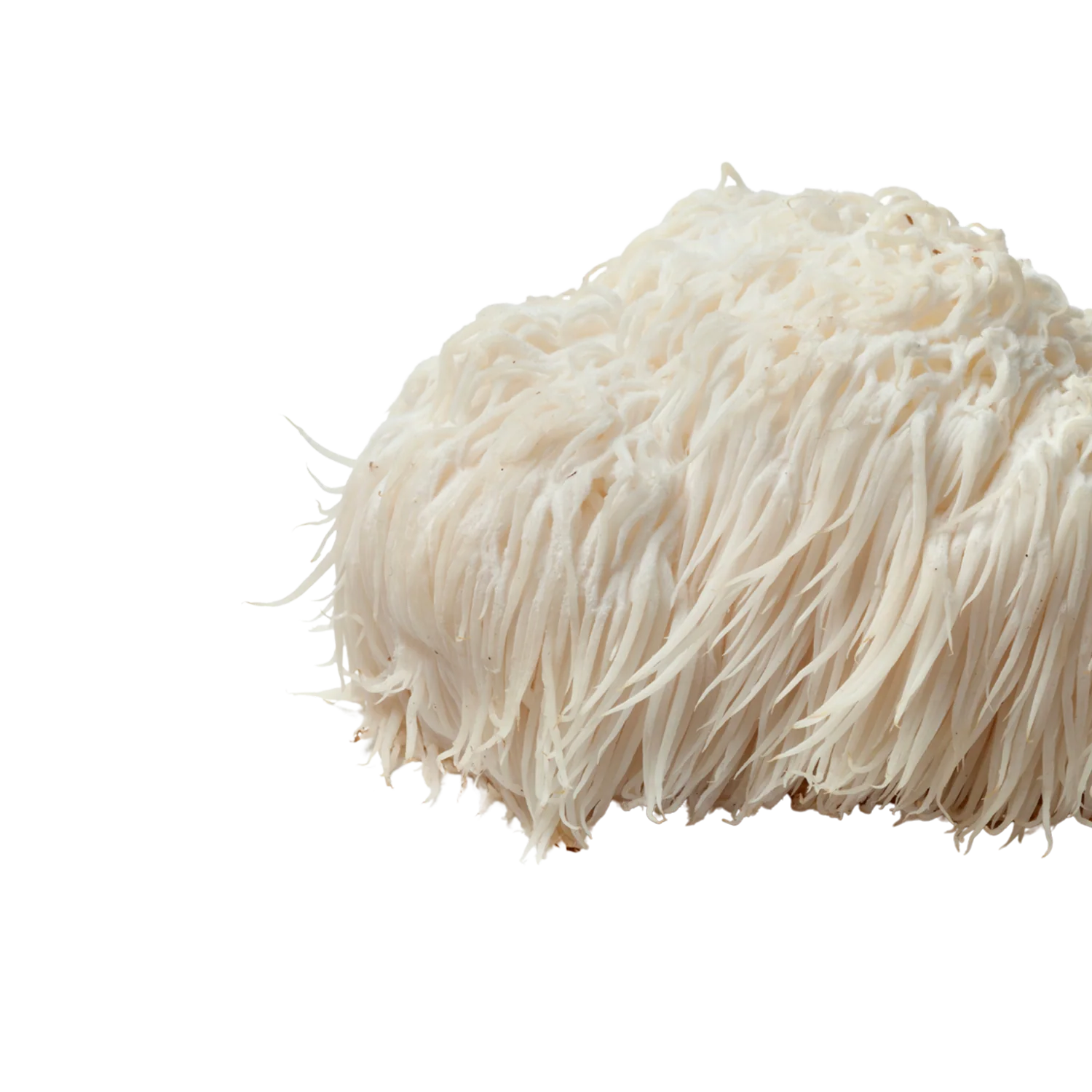 Lions Mane Mushroom Boost