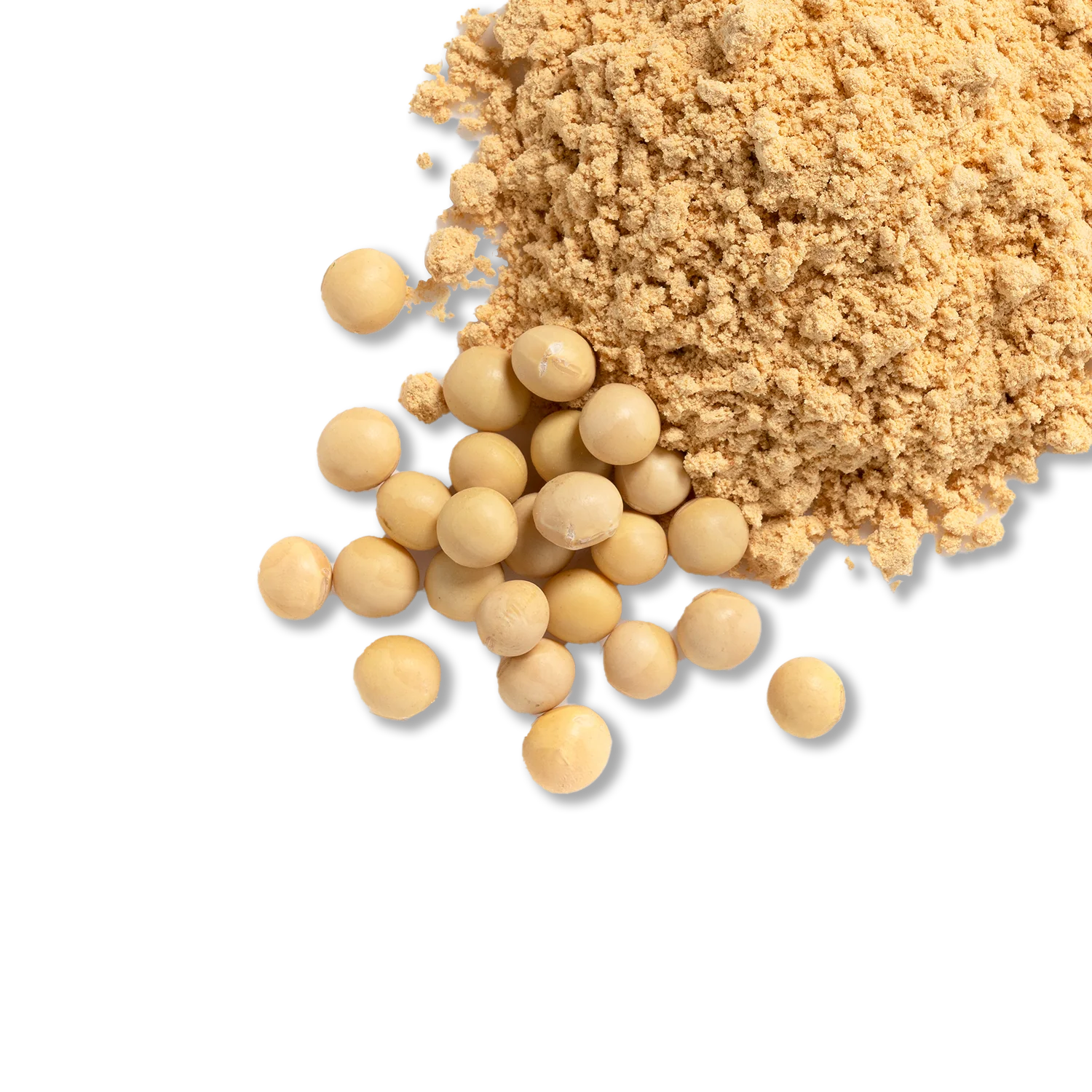 Soy Protein Isolate – non-GMO (1lb.) - Image 3