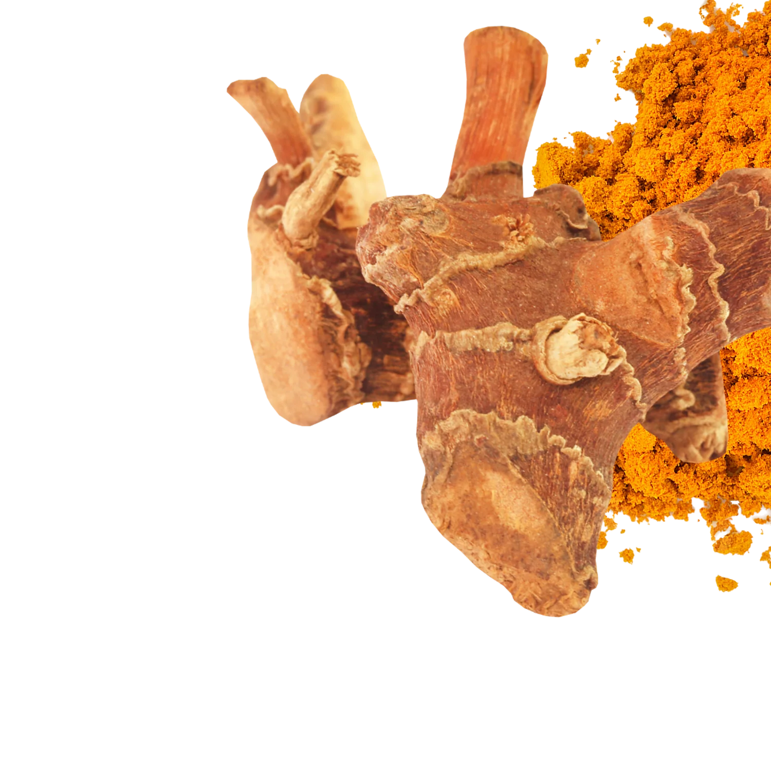 Turmeric