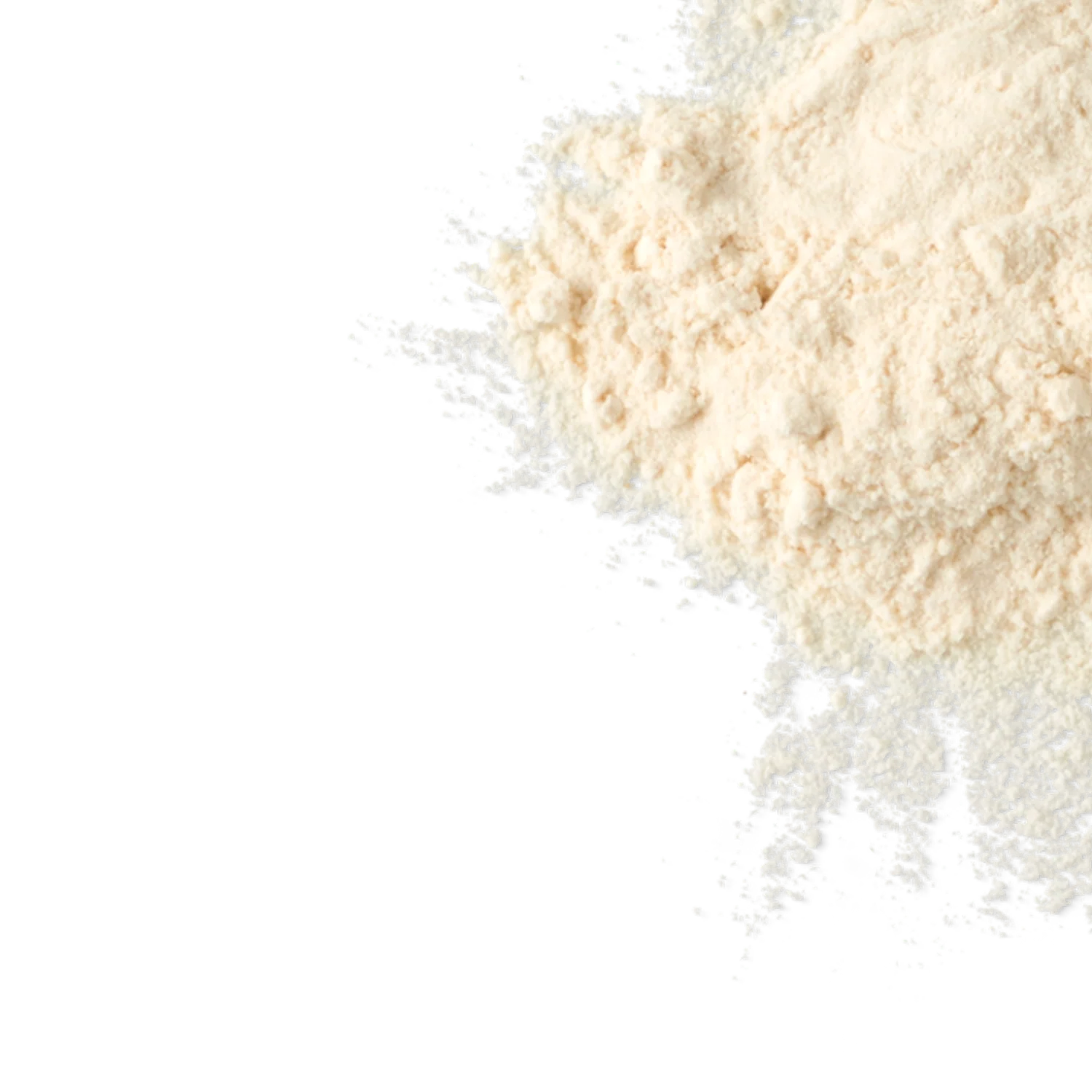 Whey Protein Concentrate (1lb.) - Image 3