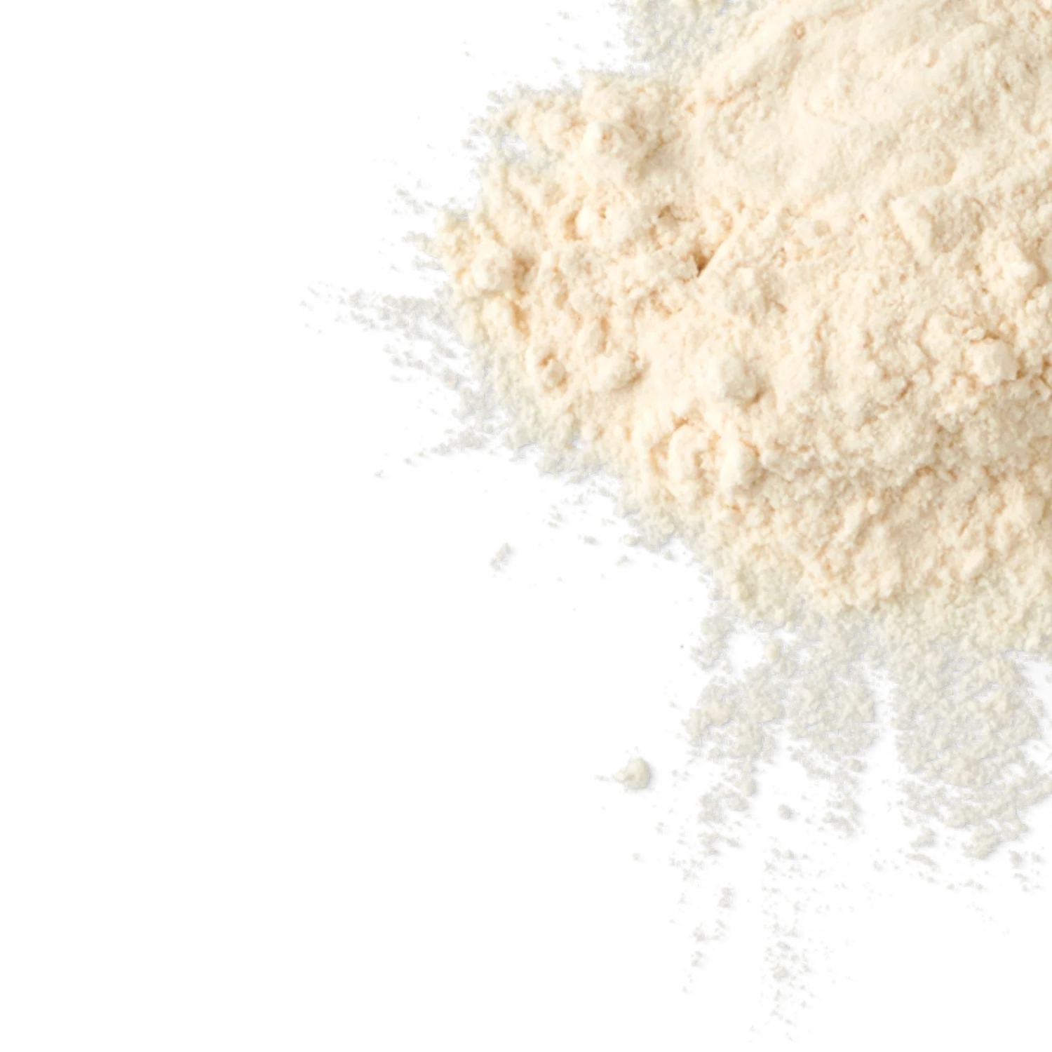 Whey Protein Isolate Microfiltrated (1lb.) - Image 3